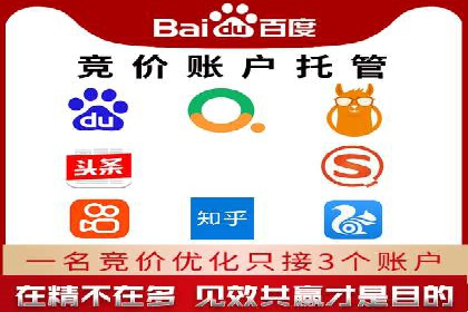 sem百度竞价成功案例：如何精准投放广告